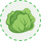 汇聚全球足球激情 - 世界杯竞猜