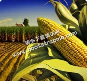 即时战报：掌握2026世界杯赛况 - 世界杯竞猜